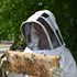 Veste d'apiculture en tissu mesh respirant et capuche d'escrime